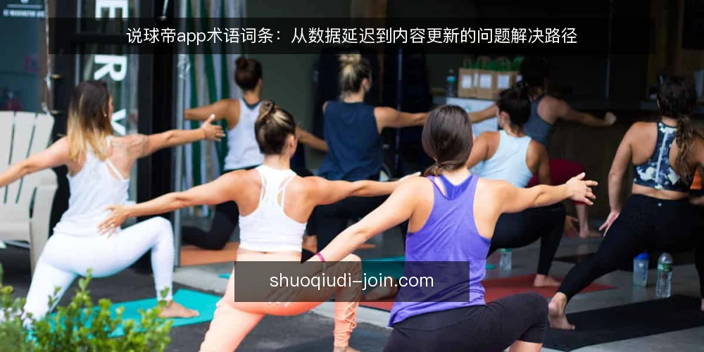 说球帝app术语词条:从数据延迟到内容更新的问题解决路径 — 术语:数据延迟 配图