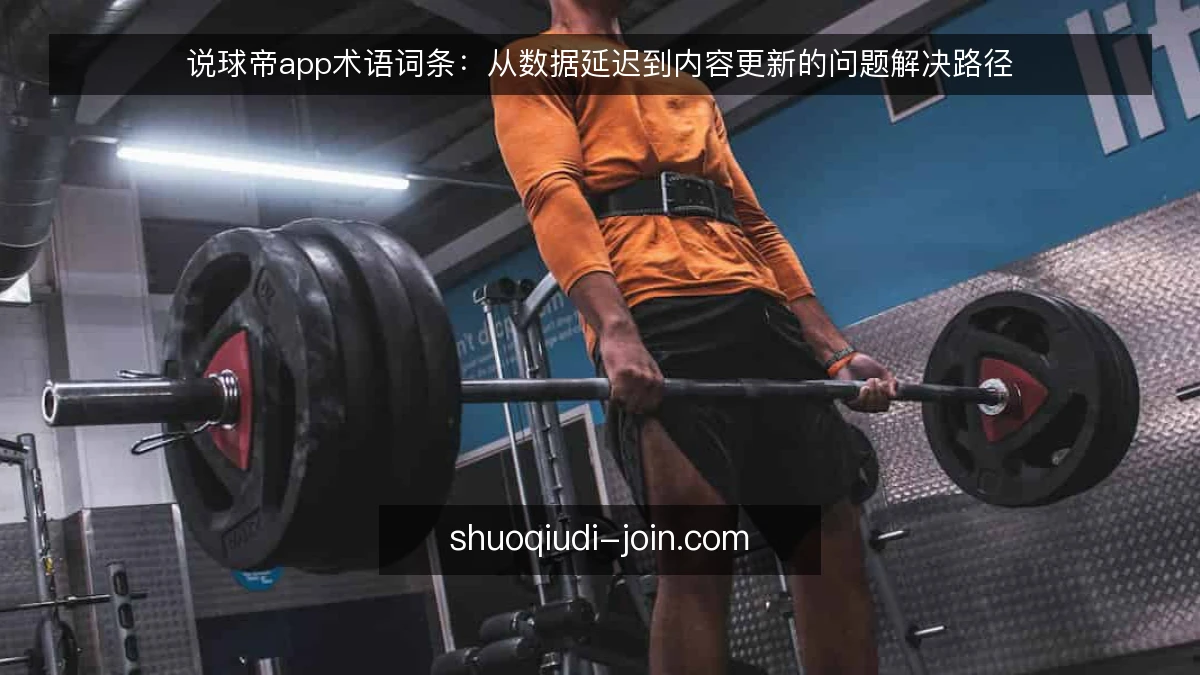 说球帝app术语词条:从数据延迟到内容更新的问题解决路径