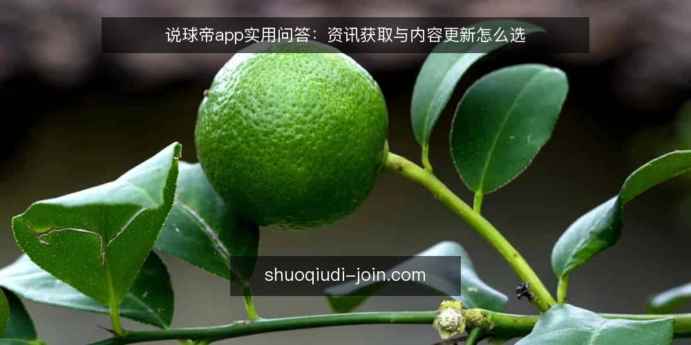 说球帝app实用问答：资讯获取与内容更新怎么选 — 说球帝app的资讯获取和内容更新，到底解决什么问题？ 配图