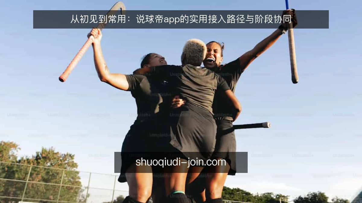 从初见到常用:说球帝app的实用接入路径与阶段协同