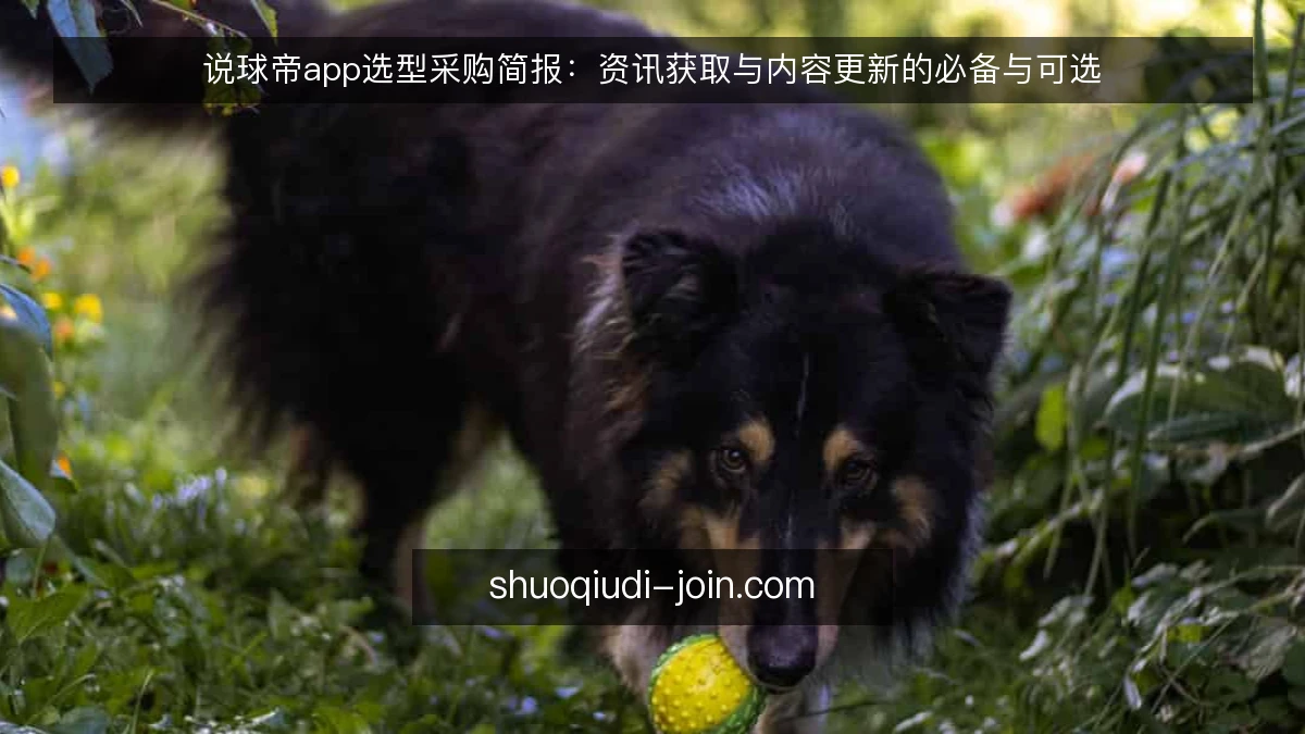 说球帝app选型采购简报:资讯获取与内容更新的必备与可选